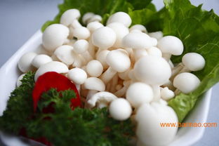 全国高性价比菌菇批发市场及产业链指南 从产地到回收价格解析