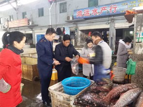 开发区分局配合承检单位开展食品监督抽检 严把食用农产品批发源头关